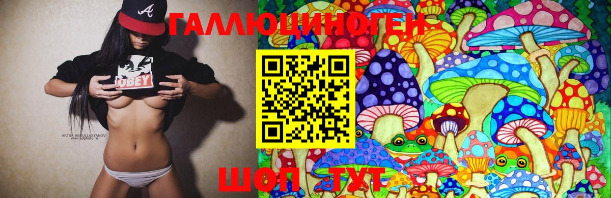 Галлюциногенные грибы мухоморы  Вход с VPN  Дмитров  Псилоцибиновые грибы Cubensis 